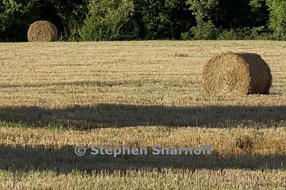 field with hay bales sigonce 1 graphic